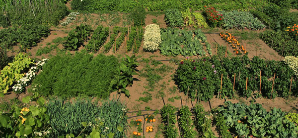 Huerto Biodinamico